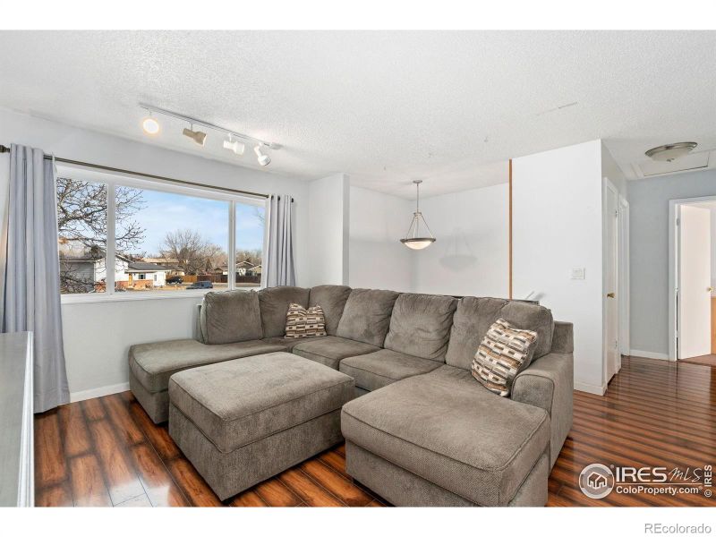 810 Storm Mountain Ct, Windsor, CO 80550