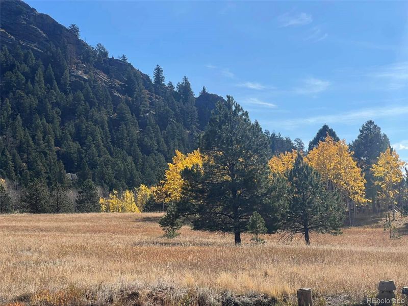 1965 Vagabond Creek Dr Lot 9, Lake George, CO 80827
