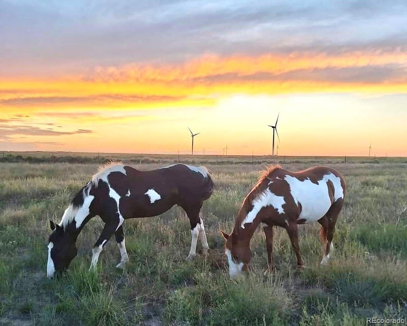 53647 County Road 36 4, Genoa, CO 80818
