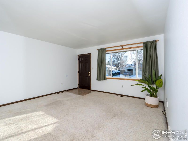 14 Daisy Ct, Windsor, CO 80550