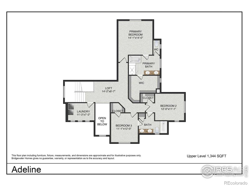 5836 Gianna Dr, Timnath, CO 80547