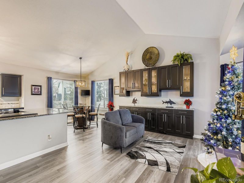 10647 Apishamore Ct, Parker, CO 80134