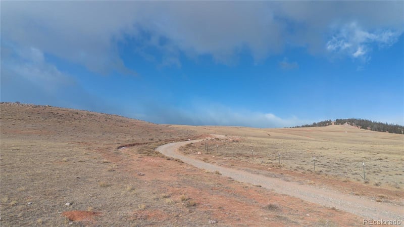 3164 Meier Ridge Trl, Fairplay, CO 80440