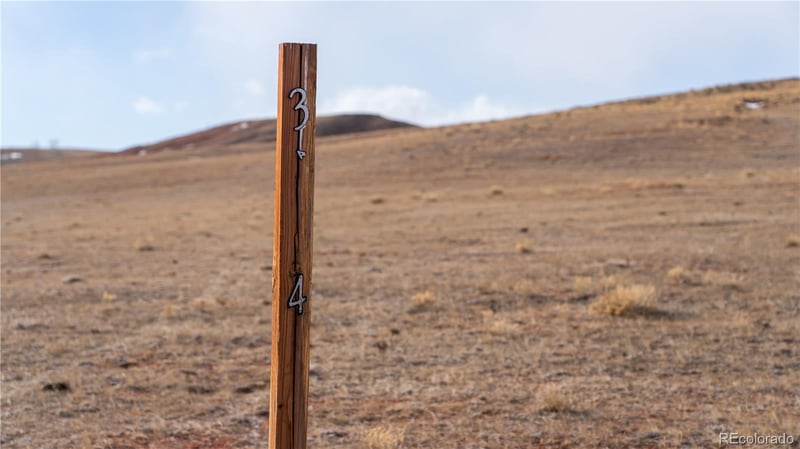 3164 Meier Ridge Trl, Fairplay, CO 80440