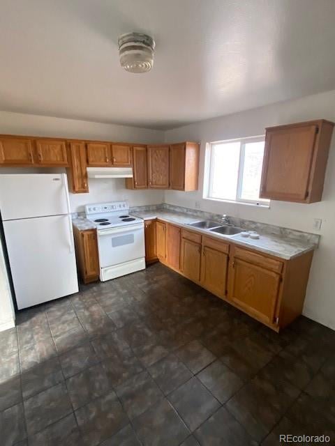 13201 Randolph Pl, Denver, CO 80239