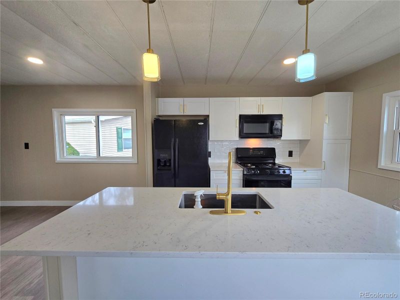 156 Mallard St, Golden, CO 80401