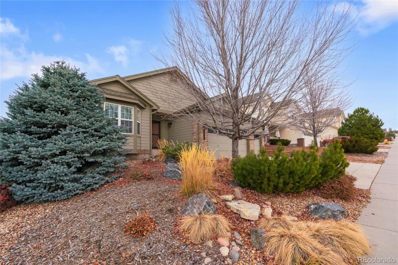 875 Dales Pony Dr, Castle Rock, CO 80104