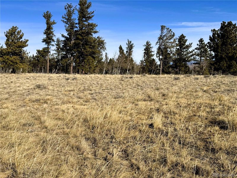 620 Wagon Wheel Rd Lot 624, Hartsel, CO 80449
