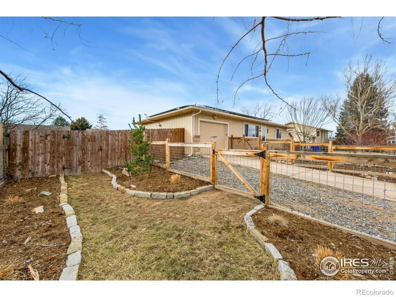 924 Larch Dr, Windsor, CO 80550