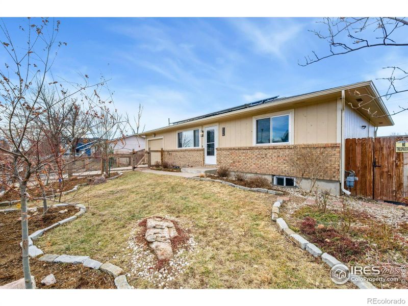 924 Larch Dr, Windsor, CO 80550