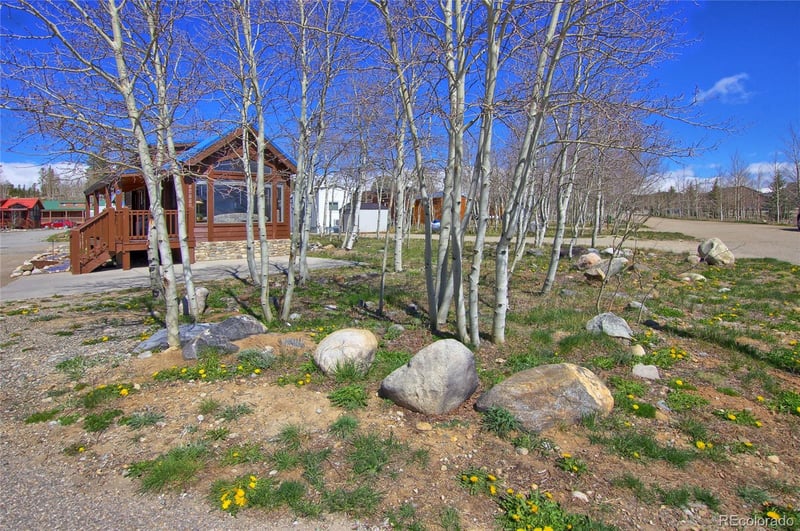 65 Sunshine Loop, Fairplay, CO 80440
