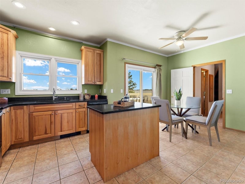 42226 Thunder Hill Rd, Parker, CO 80138