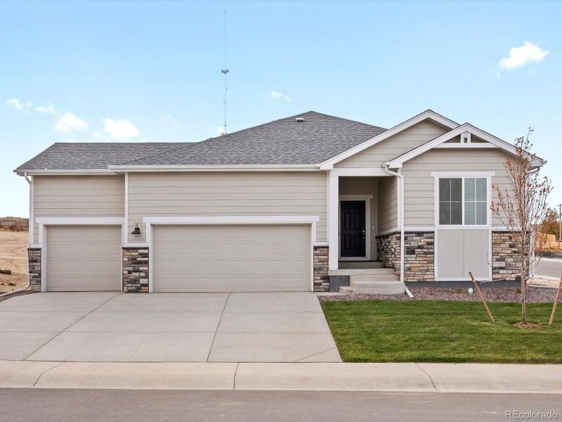 1624 Yampa River Dr, Windsor, CO 80550