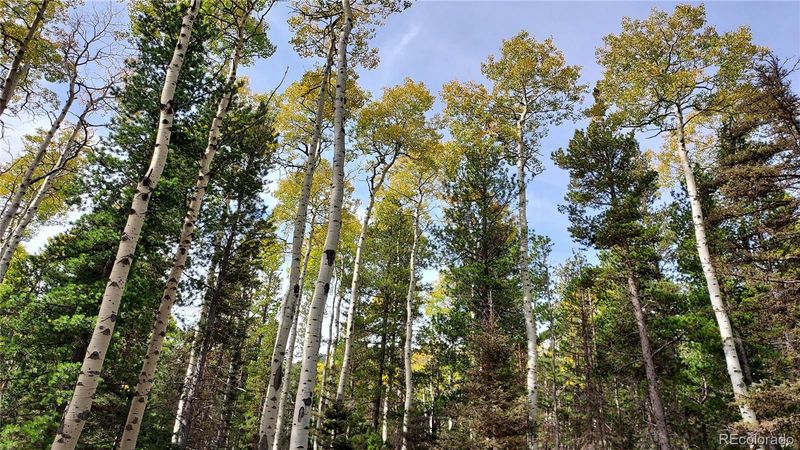 3079 Henderson Dr, Fort Garland, CO 81133