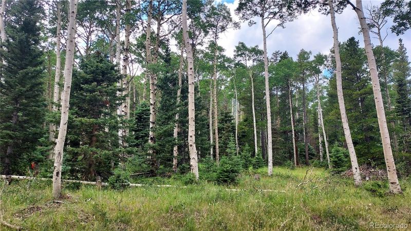 3079 Henderson Dr, Fort Garland, CO 81133