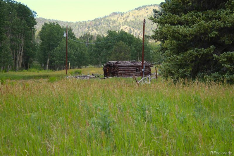 340 Cr90, Lake George, CO 80827