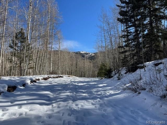 Lot 5252 Scott Rd, Fort Garland, CO 81133