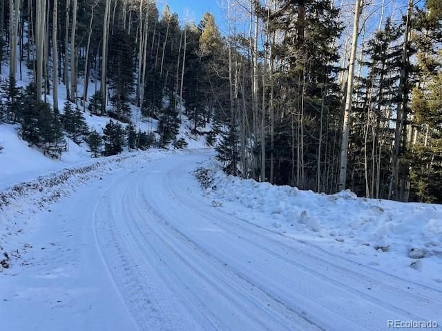 Lot 5339 Howard Rd, Fort Garland, CO 81133