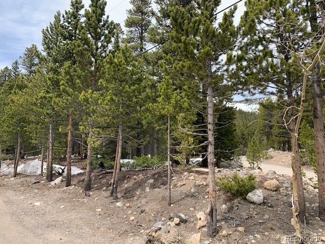 1090 Alice Rd, Idaho Springs, CO 80452