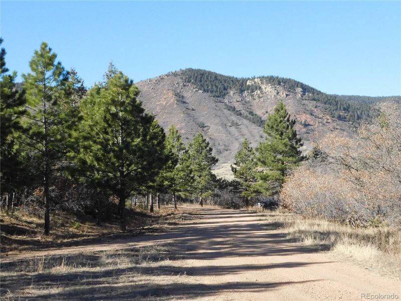 6294 Troon Ct, Larkspur, CO 80118