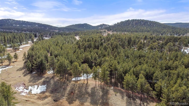 Ridgestone, Woodland Park, CO 80863