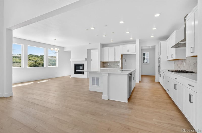 3438 Backdrop Ct, Castle Rock, CO 80108