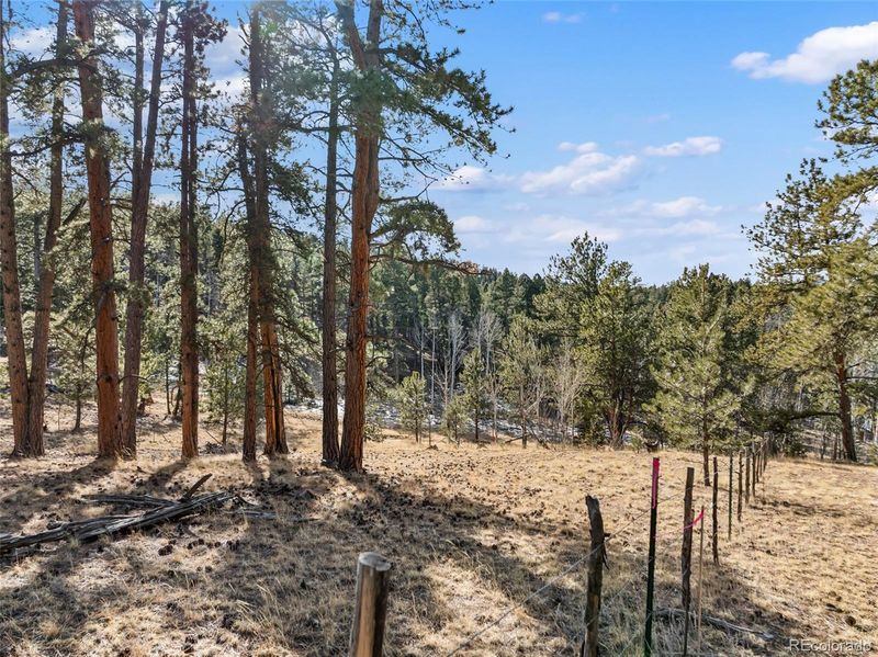 Lot 20A Echo Lake Dr, Lake George, CO 80827
