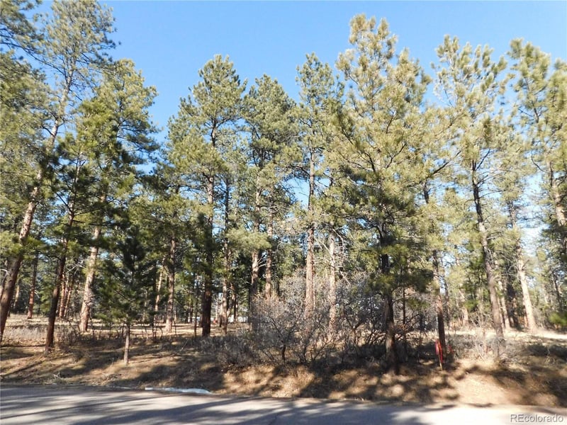 5845 S Pike Dr, Larkspur, CO 80118
