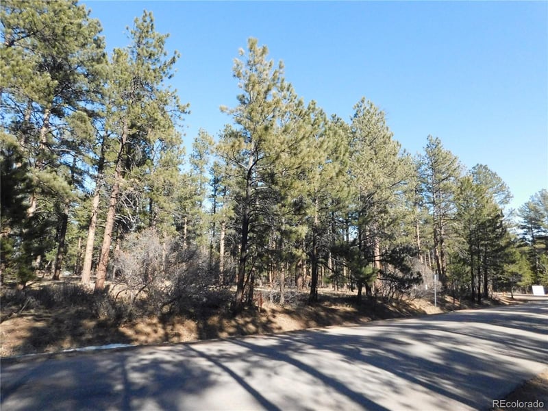 5845 S Pike Dr, Larkspur, CO 80118