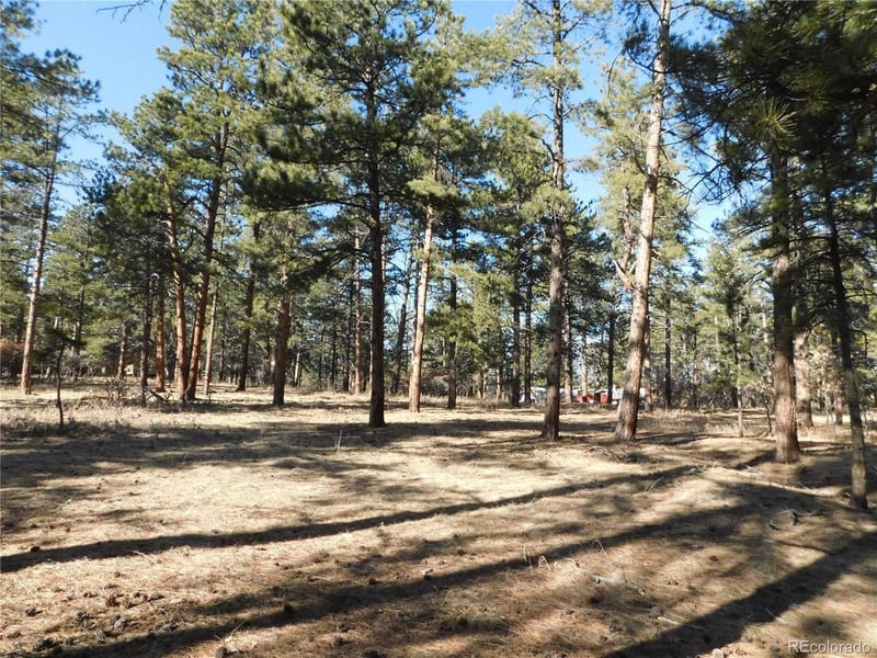 5845 S Pike Dr, Larkspur, CO 80118