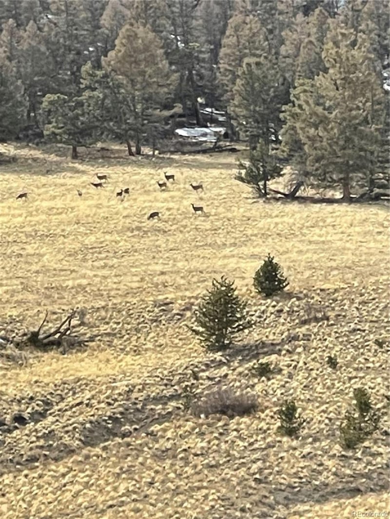 5123 Bar D Rd Lot 52, Como, CO 80432