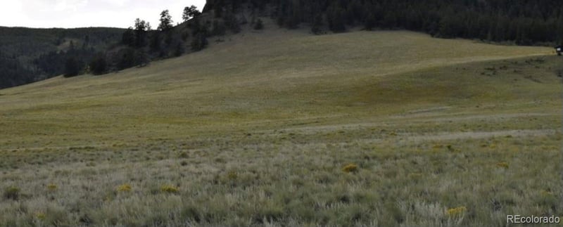 5123 Bar D Rd Lot 52, Como, CO 80432
