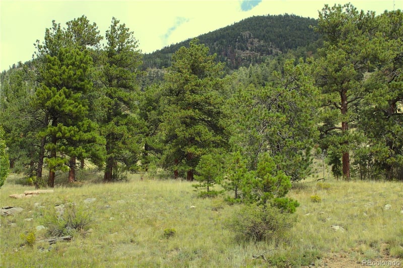 Hwy 24, Hartsel, CO 80827