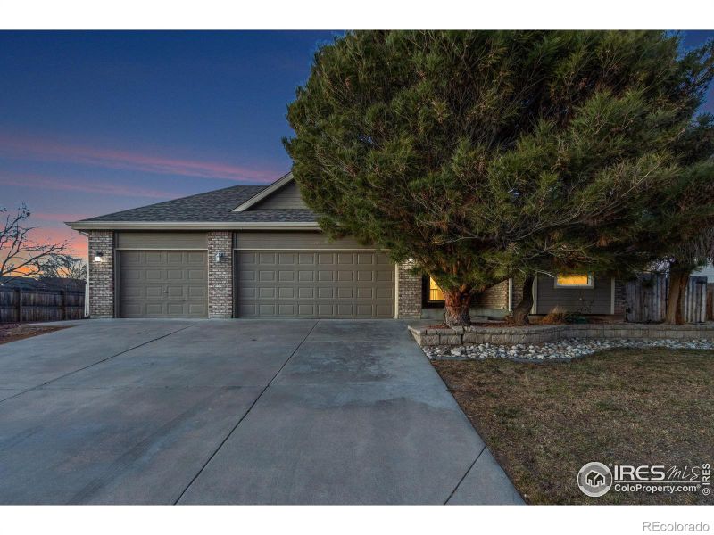 1390 Redwood Dr, Windsor, CO 80550
