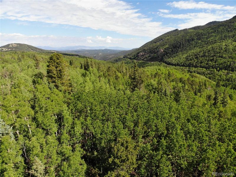 12775 S State Highway 67, Cripple Creek, CO 80813