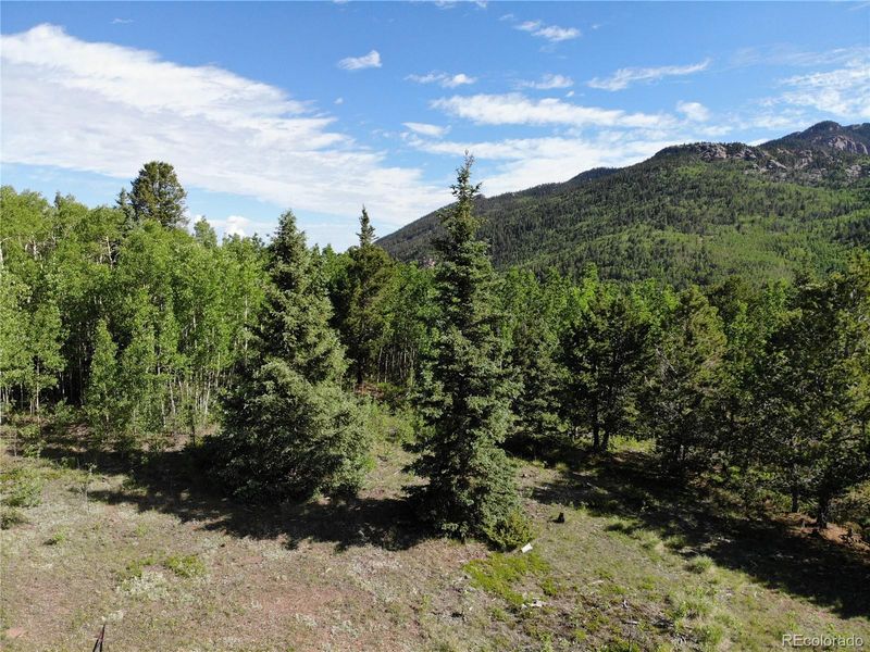 12775 S State Highway 67, Cripple Creek, CO 80813