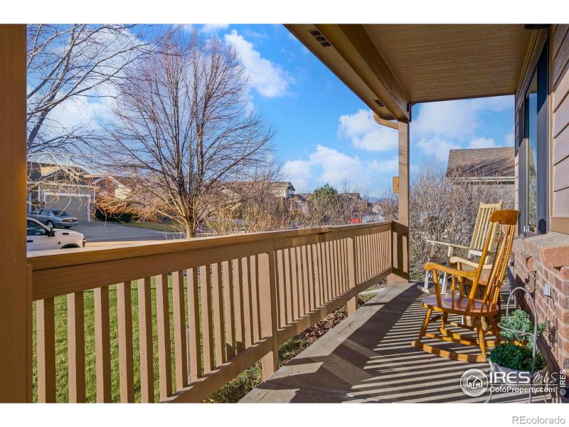 3724 Wine Cup St, Wellington, CO 80549
