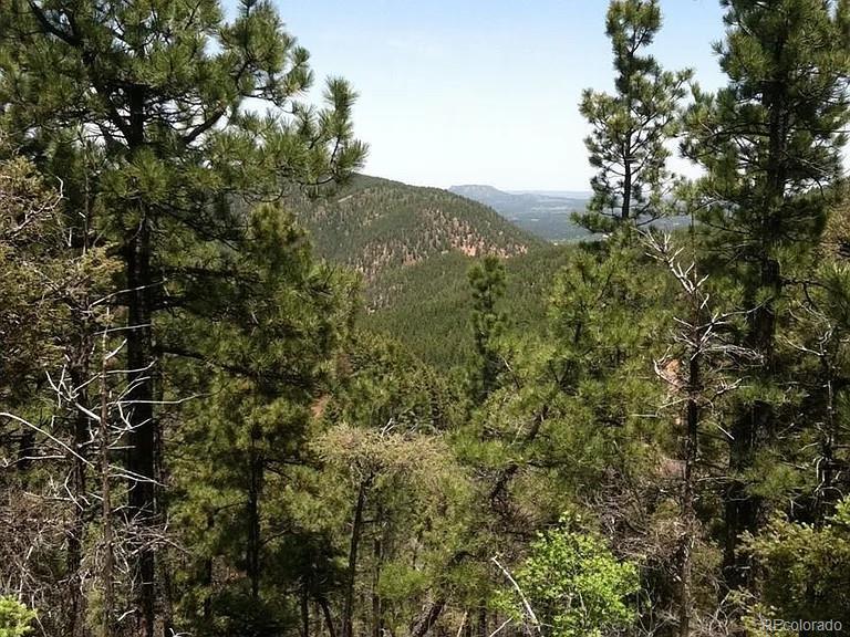 13499 S Firedog Way, Larkspur, CO 80118