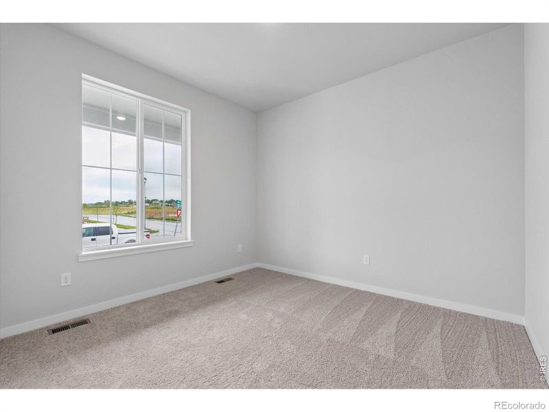 803 Mesic Ln, Windsor, CO 80550