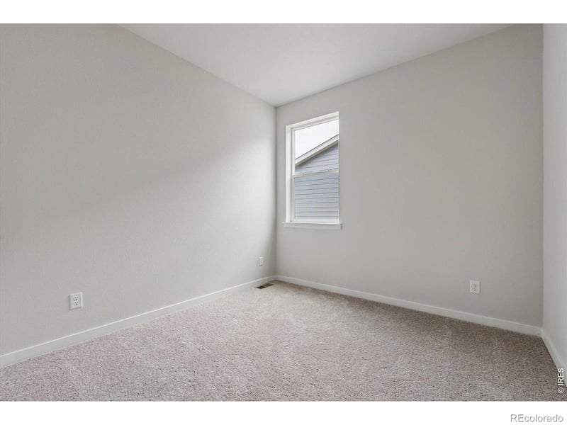 819 Mesic Ln, Windsor, CO 80550