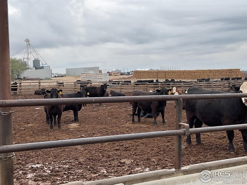 0 Hwy, Kit Carson, CO 80825