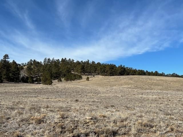 Tbd Highway 9, Hartsel, CO 80449