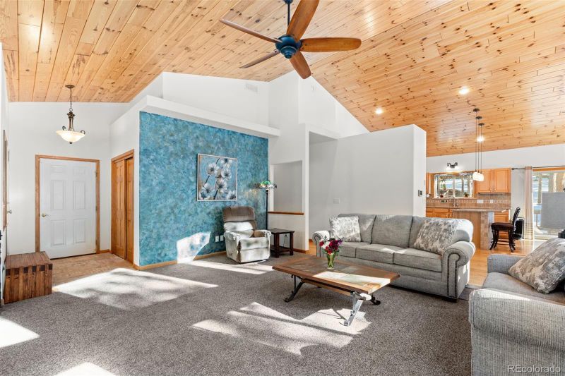 186 Territory Dr, Pine, CO 80470