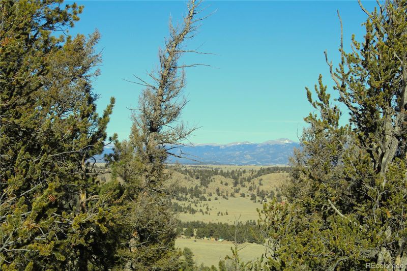 3632 Clear Creek Rd, Hartsel, CO 80449