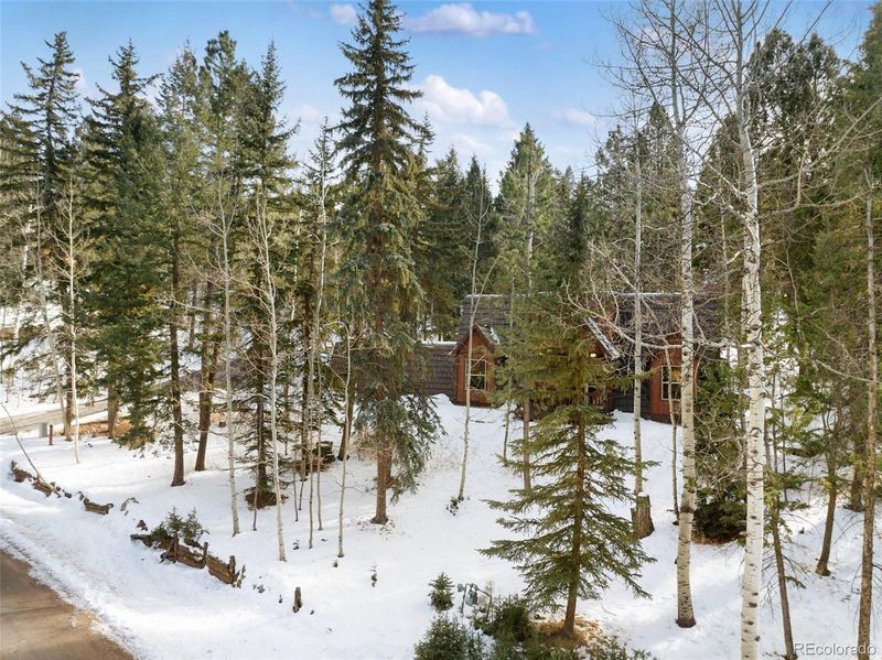 2619 Sunnywood Ave, Woodland Park, CO 80863