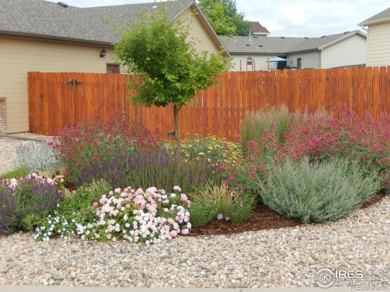 3507 Powderkeg Dr, Evans, CO 80620