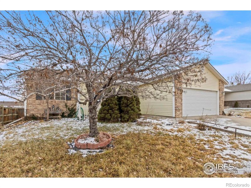 105 Blue Spruce Dr, Severance, CO 80550