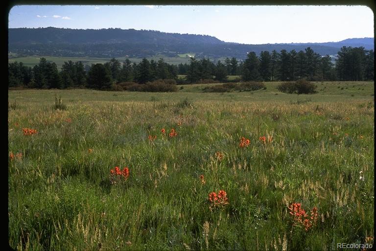2511 Keep Dr Lot 51, Sedalia, CO 80135