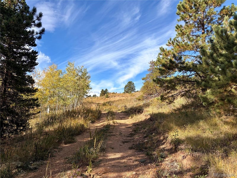 795 Russell Gulch Rd, Central City, CO 80427