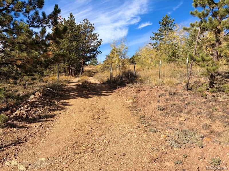 795 Russell Gulch Rd, Central City, CO 80427